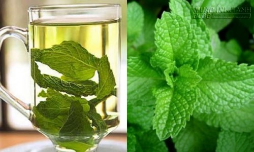 Công thức tự chế 3 loại nước súc miệng giúp bé yêu hết ho, đau họng cực hiệu nghiệm