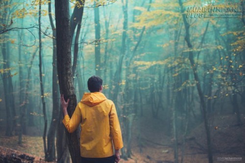 Lời này Phật dạy chỉ có 11 chữ nhưng đáng giá cả đời người