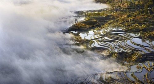 Ruộng bậc thang ở Trung Quốc gây sốt cộng đồng mạng vì quá ngoạn mục