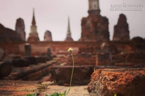 Khám phá Ayutthaya – điểm đến hấp dẫn trong chuyến du lịch Thái Lan