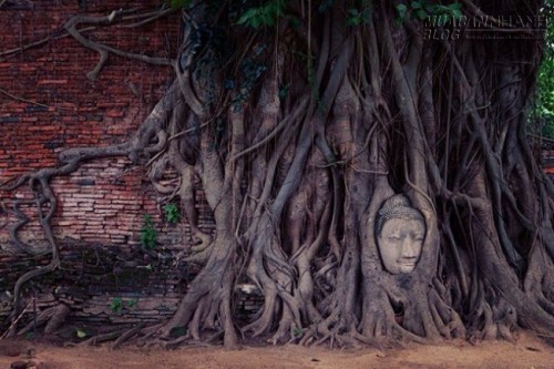 Khám phá Ayutthaya – điểm đến hấp dẫn trong chuyến du lịch Thái Lan