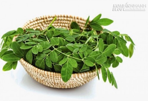Làm như GS Nguyễn Lân Dũng, bạn sẽ không phải ăn thực phẩm bẩn