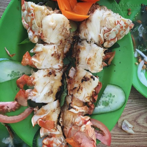 5 hòn đảo ở Việt Nam lý tưởng để thưởng thức tôm hùm ngon-bổ-rẻ
