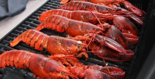 5 hòn đảo ở Việt Nam lý tưởng để thưởng thức tôm hùm ngon-bổ-rẻ