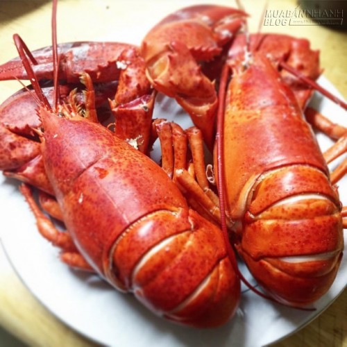 5 hòn đảo ở Việt Nam lý tưởng để thưởng thức tôm hùm ngon-bổ-rẻ