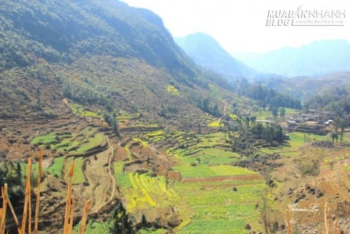 Những thung lũng nhỏ hút hồn người ở Phố Bảng Đồng Văn