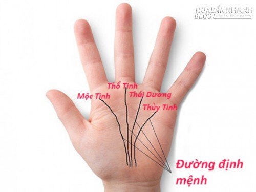 Xem bói lòng ban tay đoán mệnh thành công phú quý