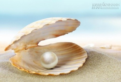Muốn người khác coi trọng, hãy trở thành trân châu, đừng là cát…