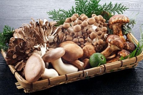 Đây là món ăn của thượng đế ở Trung Quốc, ở Việt nam cũng có rất nhiều