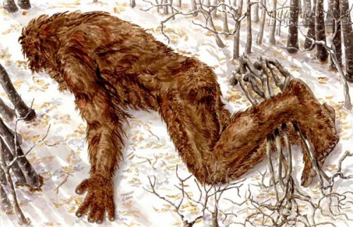 Phát hiện dấu vết của Bigfoot sau trận động đất khủng khiếp?