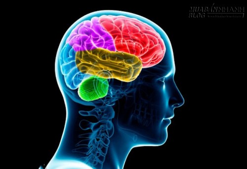 Bạn sẽ thấy việc căng thẳng và bận rộn cũng không quá tệ nhờ phát hiện này