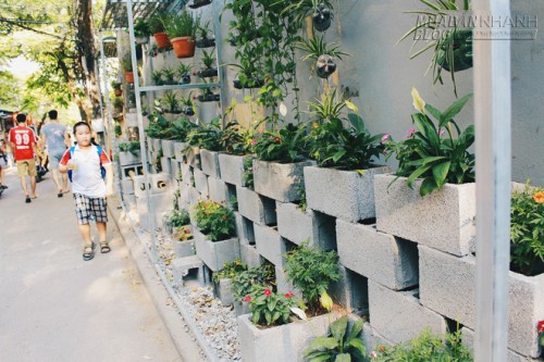 Nhóm sinh viên Hà Nội biến bãi rác dọn 10 năm không sạch thành một vườn hoa