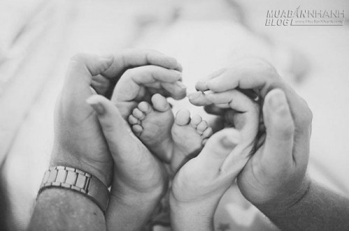 5 ông chồng hoàng đạo mang tới cuộc sống an nhàn cho vợ