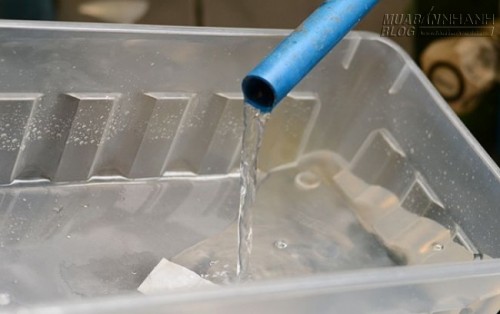 Bất ngờ với mẹo đánh bay mùi khó chịu của hộp nhựa dễ dàng