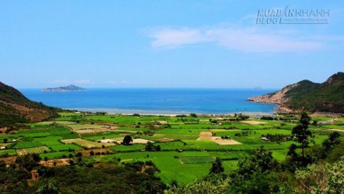 Khám phá 9 điểm đến ấn tượng trong bán đảo Hòn Hèo