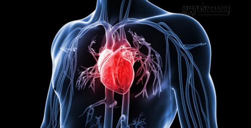 10 lý do đơn giản dẫn đến bệnh đau tim không phải ai cũng biết