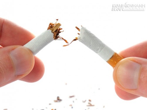 Điều gì xảy ra với cơ thể khi bạn dừng hút thuốc?