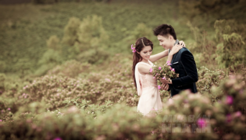 C&oacute; thể chất lượng của dịch vụ chụp ảnh cưới trọn g&oacute;i kh&ocirc;ng như bận k&igrave; vọng.