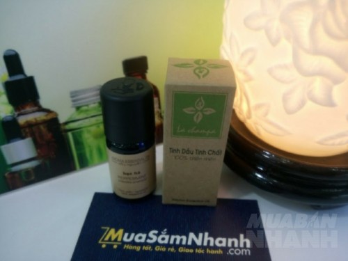 10 t&aacute;c dụng của tinh dầu bạc h&agrave; đối với sức khỏe