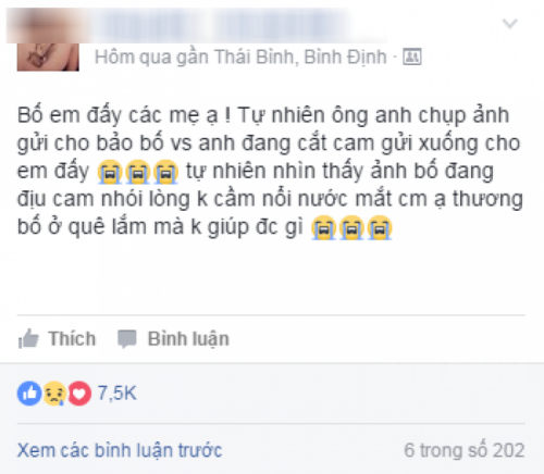 Rơi nước mắt trước chuyện ông bố quê nhà hái cam gửi lên thành phố cho con gái Rơi nước mắt trước chuyện ông bố quê nhà hái cam gửi lên thành phố cho con gái