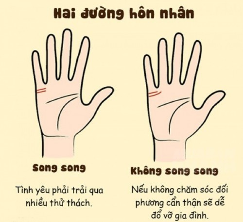Hai đường chỉ tay hôn nhân, Bàn tay có hai đường chỉ tay hôn nhân, Xem tay có hai đường chỉ tay hôn nhân