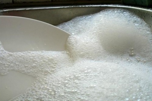 Đặt thứ này trong nhà, quanh năm không có con gián nào dám bén mảng tới gần