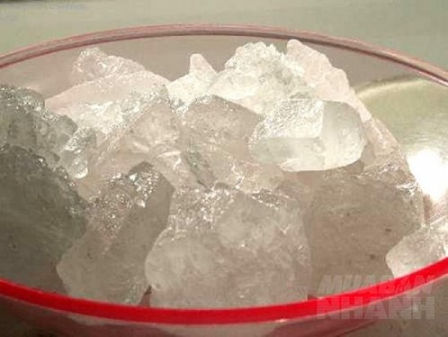 Đặt thứ này trong nhà, quanh năm không có con gián nào dám bén mảng tới gần