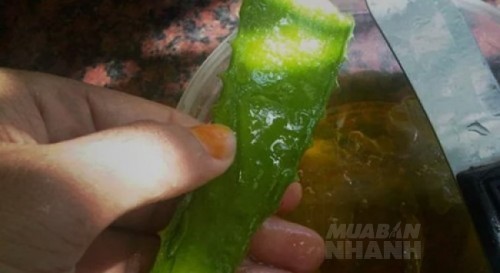 Phụ nữ n&agrave;o c&oacute; 2 lọ thần dược n&agrave;y trong nh&agrave; th&igrave; x&aacute;c định cả đời trẻ đẹp kh&ocirc;ng cần mua mỹ phẩm l&agrave;m g&igrave; cho tốn tiền