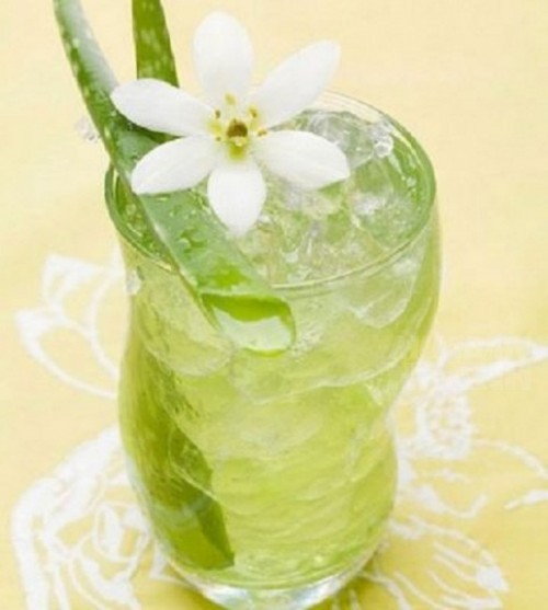 3 c&aacute;ch giảm c&acirc;n bằng nha đam an to&agrave;n, đơn giản v&agrave; hiệu quả