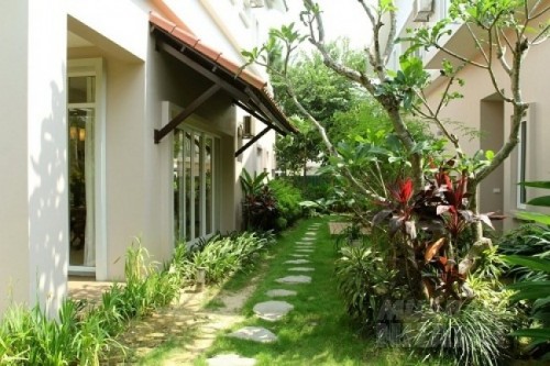 Trồng cây xanh trong nhà, bạn cần chú ý điểm sau để tránh ném tiền qua cửa sổ