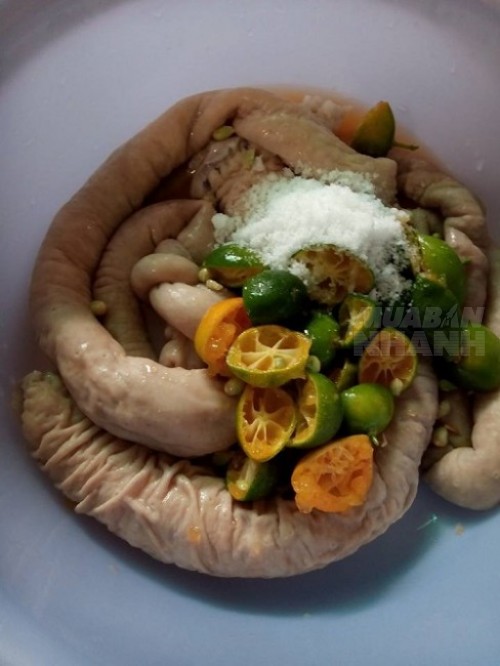 Thố linh khìa nước dừa ngon xuất sắc – Chưa kịp mang lên bàn nhậu đã hết mồi