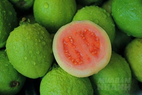 Đừng chỉ ăn mỗi vỏ, hạt ổi cũng mang đến nhiều lợi ích sức khỏe