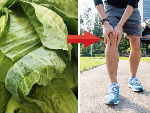 3 cách triệt tiêu cơn đau gout ngay tức thì với lá bắp cải