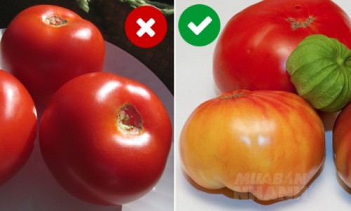 Bạn có biết 10 cách giữ rau quả tươi ngon không tốn xu nào