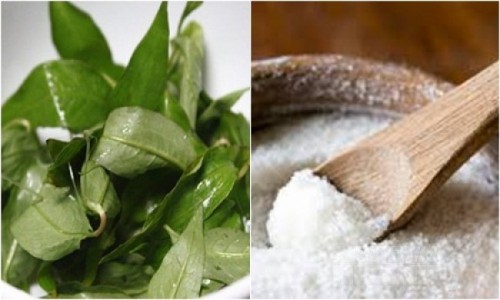 Chuẩn bị 1 nắm rau răm + 1 thìa muối, lỗ chân lông to đến mấy cũng se khít, trắng sáng bất ngờ