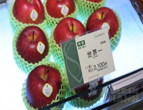 1 cặp dưa trị giá 1 chiếc xe hơi, đây là những loại quả chỉ có đại gia mới dám ăn