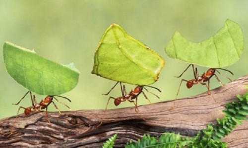 Hiểu được 3 đạo lý này chính là đã nắm rõ cả cuộc đời