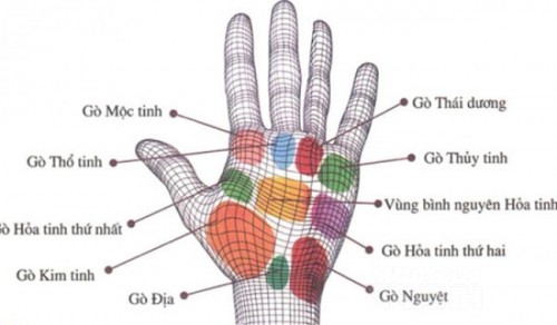 Tự xem số phận qua bàn tay 9 gò trong lòng bàn tay