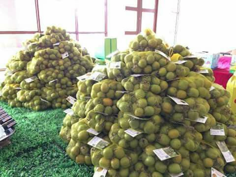 Cơ sở chuyên cung cấp túi lưới bao hoa, túi lưới đựng trái cây, túi lưới đựng nông sản giá sỉ