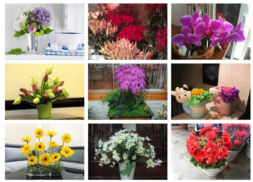 Phương pháp giữ hoa tươi lâu hơn