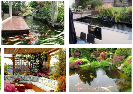 Có nên xây hồ cá trên sân thượng không?