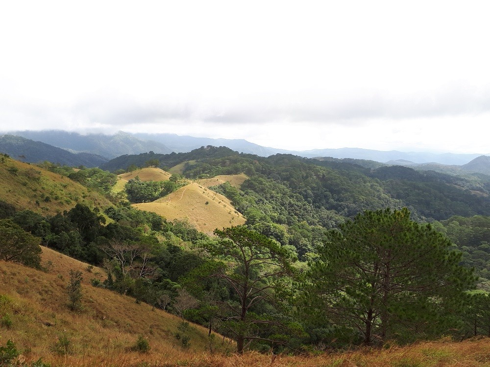 Trekking Tà Năng - Phan Dũng