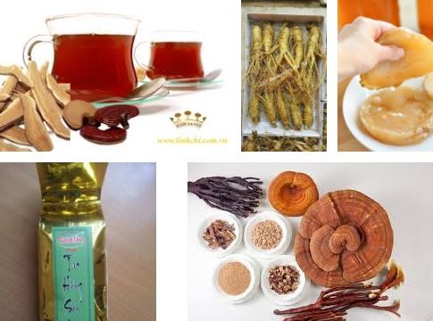 Nấm thủy sâm có tác dụng kích thích những siêu vi khuẩn phân hóa thành các chất dinh dưỡng