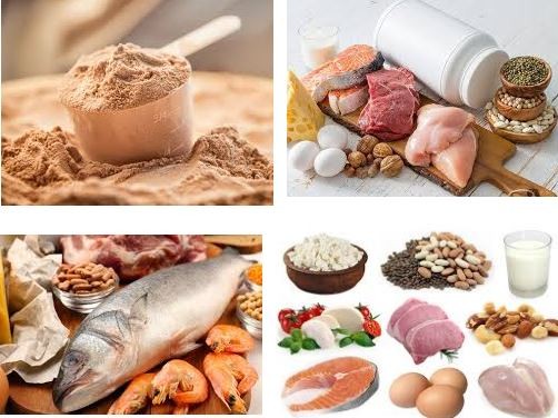 Protein và chất béo lành mạnh