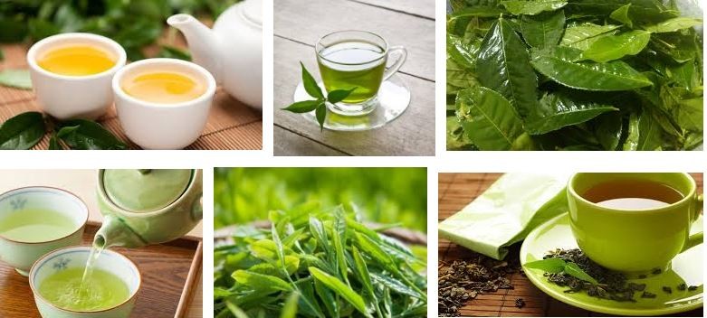 Vì sao nói trà xanh có tác dụng giảm cân?