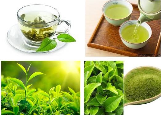 Trà xanh cung cấp các chất chống oxy hóa và giúp cơ thể đốt cháy chất béo nhanh hơn