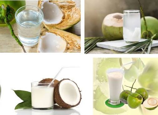 Nước dừa là thức uống ngon lành được nhiều người yêu thích
