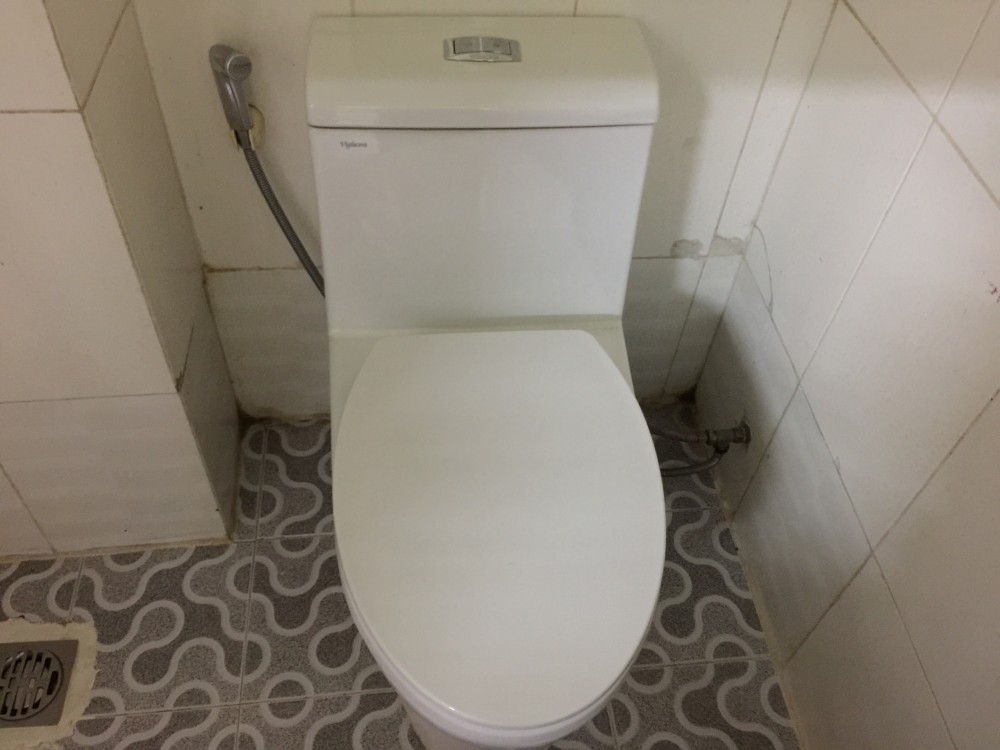 Tất cả những gì bạn cần biết khi sử dụng bồn cầu để trở nên "văn minh" hơn