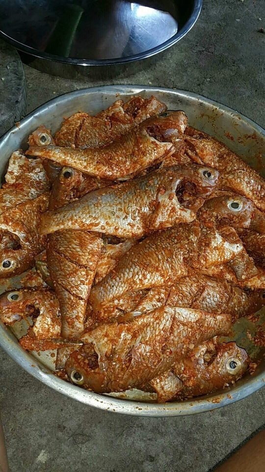 PGS.Thịnh hướng dẫn cách rán cá tránh bệnh ung thư(1)