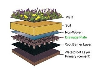 Đặc điểm nổi bật của vỉ nhựa thoát nước